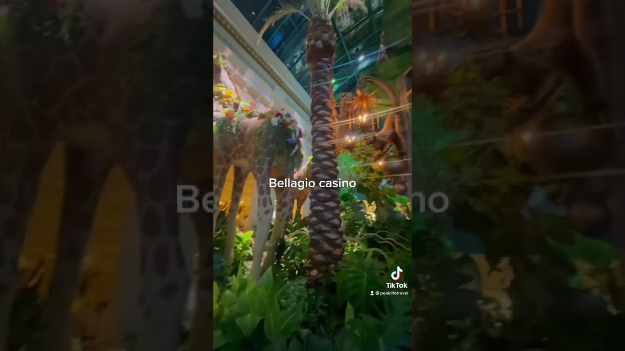 Las Vegas, walking through Bellagio Casino