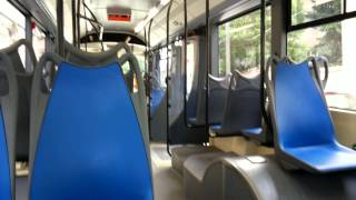 Cotrab - Vivacity - Bredamebarinibus