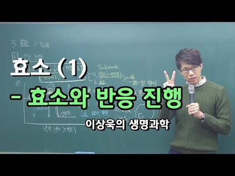 효소(1)_효소와 반응의 진행