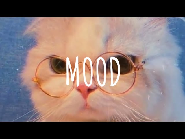 [Vietsub + Lyric] 24Kgoldn - Mood (remix) | Dangling x Dusk Music class=