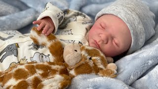 My Reborn Doll Collector Pet Peeves!