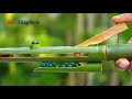 Bamboo diy slingshots
