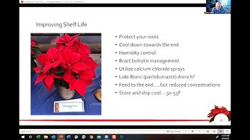 Tech On Demand: In the Break Room - Poinsettias (Part 35) Improving Shelf Life