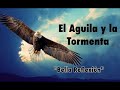 Audio libro de reflexiones  aguila