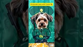 Мы с Трезором на границе 🐾