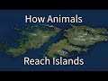 How Animals Reach Islands