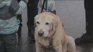 Ukraine families refusing to leave pets behind, San Diego Humane Society urging people to help