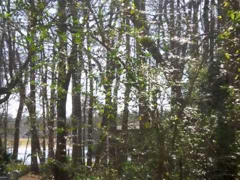 2822 S Pack Rd, Lake Charles, LA home video tour