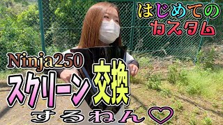 【バイク女子】はじめての カスタム スクリーン交換 やってみてよう【ninja250】