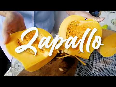 PURE DE ZAPALLO - #PANAMEÑOCONORGULLO "CONSUME LO TUYO"