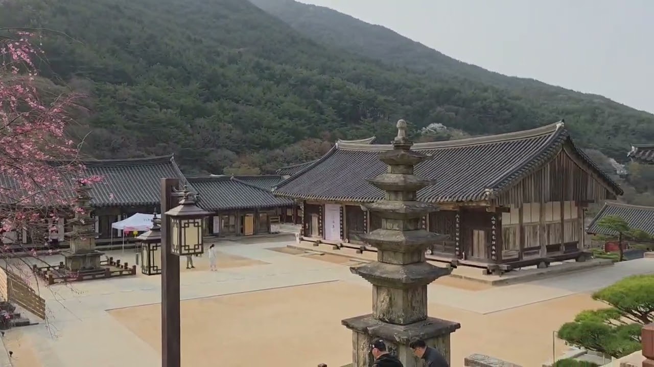 그 강을 건너지 마오  ♡ 플룻 연주 ♡ 멋진 여사 