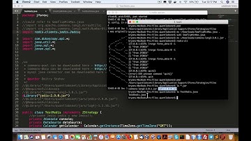 Get Dukascopy JForex strategy to connect into Redis NOSQL