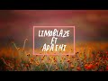 Limoblaze, Ada Ehi - Talk & Do (Lyric Video)
