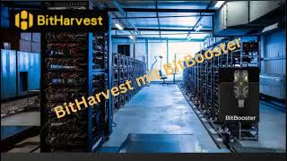 BITHARVEST 💥 BITBOOSTER 💥 Erhalte jetzt mehr Bitcoin 💥 TOP TEAM ROB BUSER