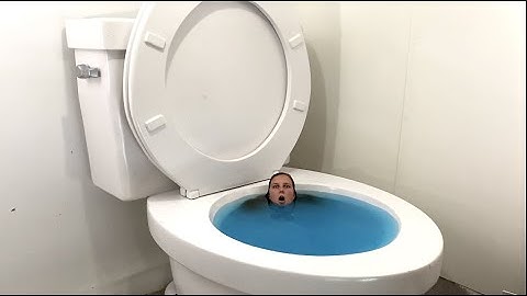 Worlds Largest Toilet Blue Swimming Pool Compilation