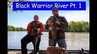 Biggest River Fishing Haul Ever