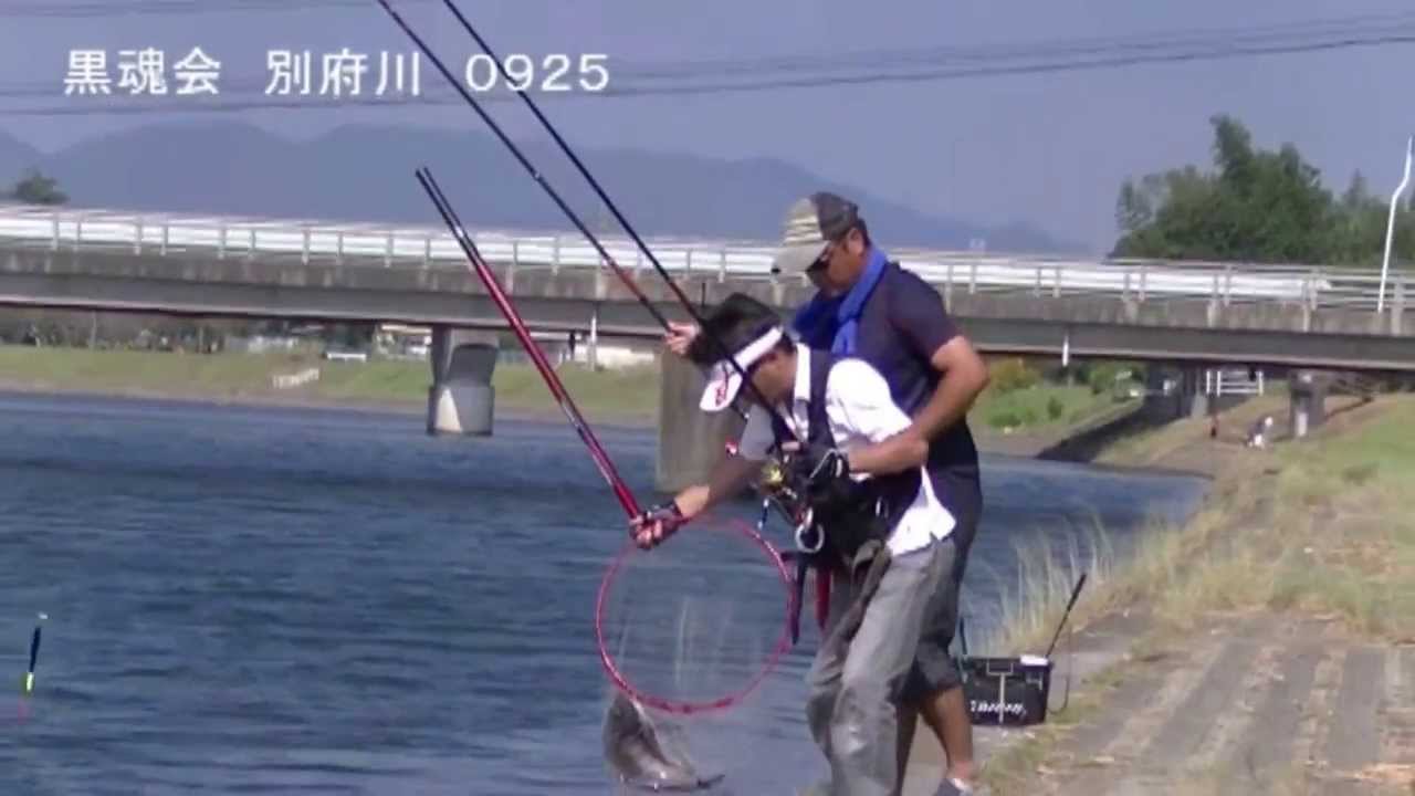 鹿児島県姶良市の別府川でチヌが釣れたよ Youtube