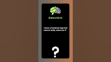 Mind-Bending Riddles to Challenge Your Wits! 🧠🔍