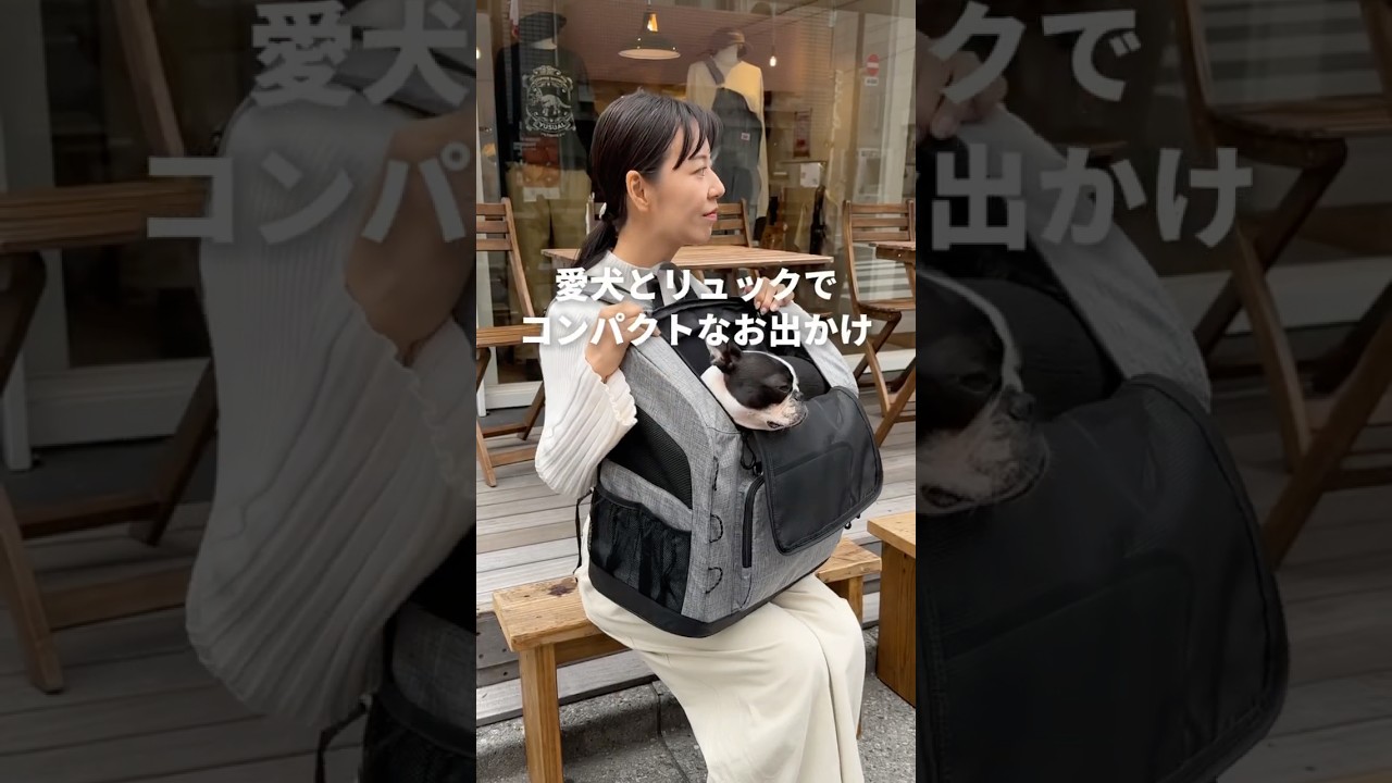 エアバギー】愛犬とコンパクトなお出かけに