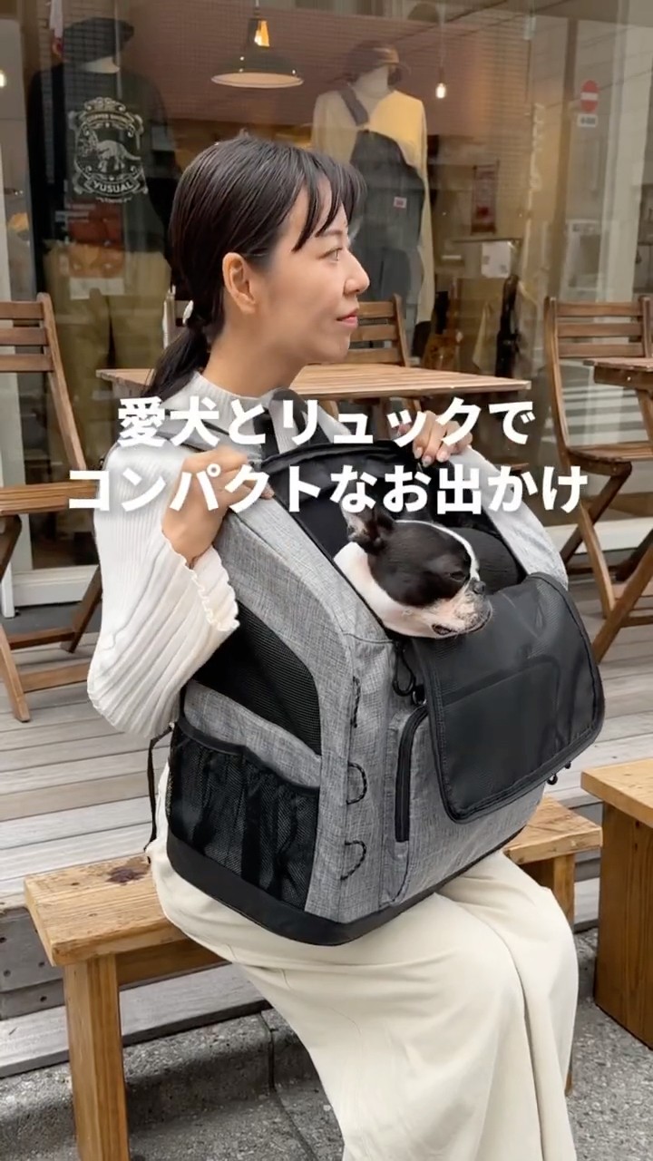 エアバギー】愛犬とコンパクトなお出かけに