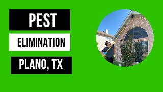 The Best Pest Control Company In Plano, TX #preferredpestmanagement #pestcontrol #planotx