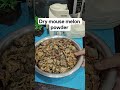 motivational #dry mouse melon powder recipe #storage powder #howtomakedrymousemelonpowder