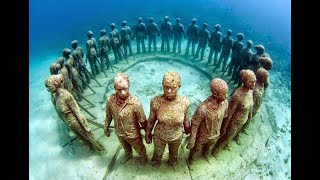Bizarre Discoveries Found In Unexpected Places Profile