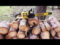 Dewalt 60 Volt Chainsaw "flexvolt" Review !!!