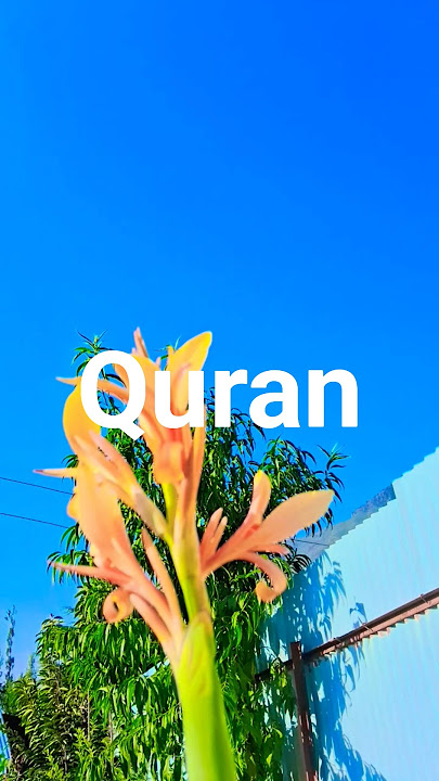 SURAH UN-NISSA AYAT WITH URDU TRANSLATION