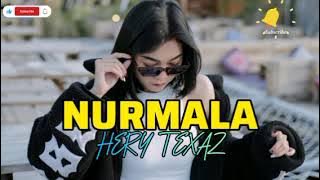 🏝️LAGU JOGET NURMALA REMIX TERBARU 2025🏝️Hery Texaz Rmxr