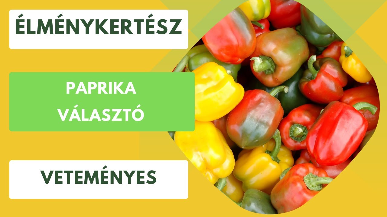 Hihetetlen paprikák: Vetőmag bemutató a legkülönlegesebb fajtákból!🫑