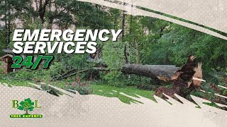 B&L Tree Experts: Emergency Tree Services in Georgia! 24/7 Response