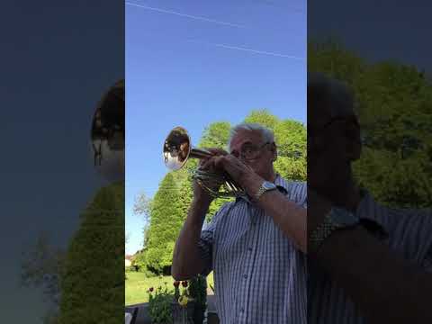 Ode to Joy   Clap For Carers