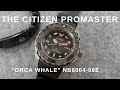 Review Of The Citizen Promaster "Orca Whale" Automatic Divers Watch - NB6004-08E