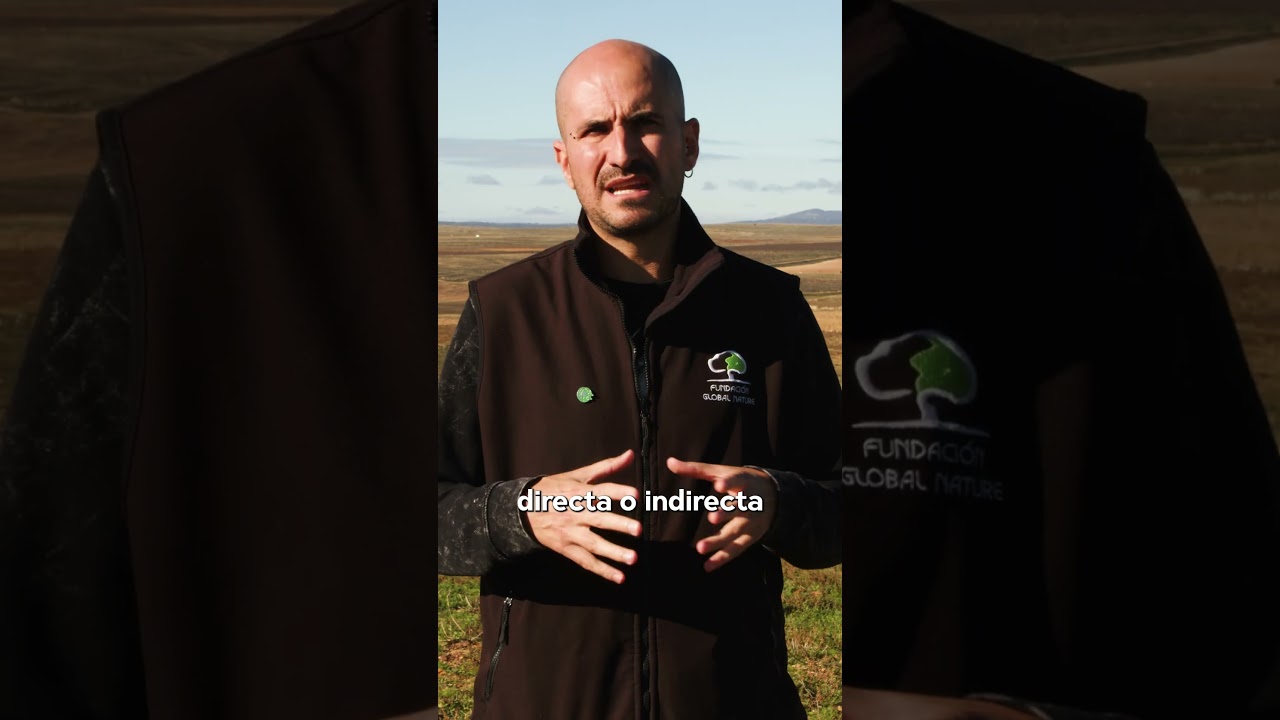 Las ovejas que salvan aves en peligro