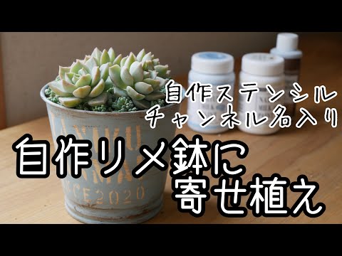 多肉植物・自作リメ鉢に寄せ植え】チャンネル名入りリメイク鉢に