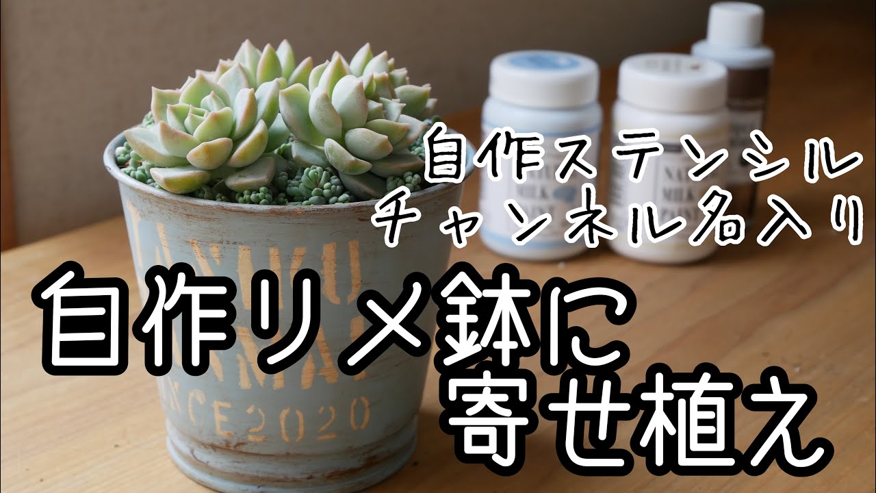 多肉植物・自作リメ鉢に寄せ植え】チャンネル名入りリメイク鉢に