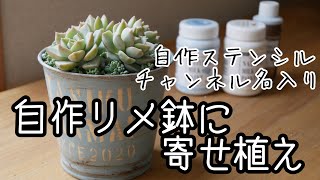 リメイク 作家 多肉鉢 まとめ 多肉植物・自作リメ鉢に寄せ植え】チャンネル名入りリメイク鉢に