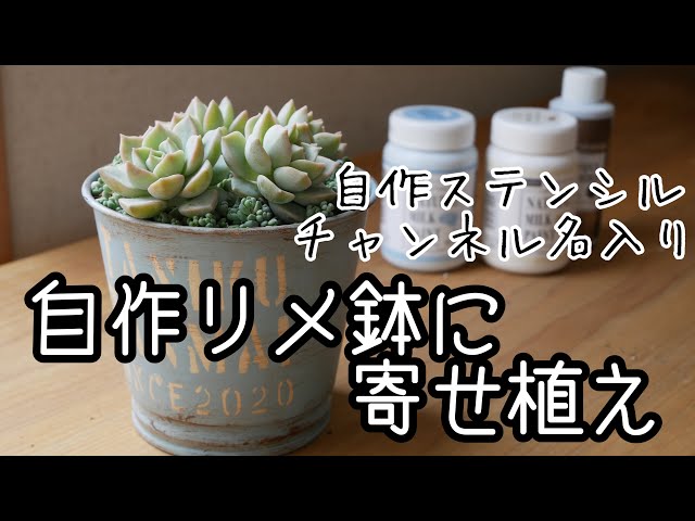 多肉植物・自作リメ鉢に寄せ植え】チャンネル名入りリメイク鉢に