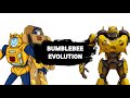 Bumblebee evolution