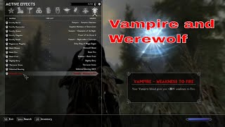 Skyrim SE / Hybrid / How to / PC