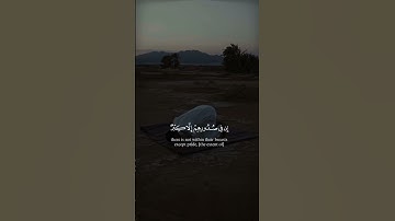 ان الذين يجادلون في آيات الله بخر سلطان | الشيخ ياسر الدوسري