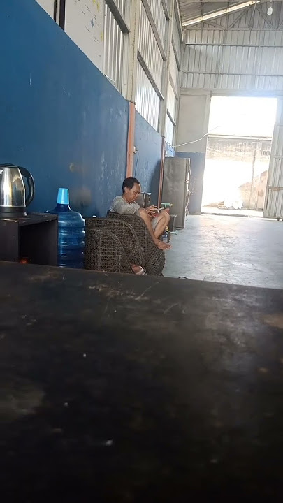 renofasi otak