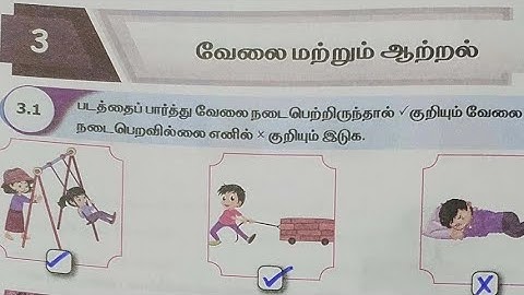 4th std science term 1 unit 3 workbook answers Tamil medium | 4th std Workbook Answers 