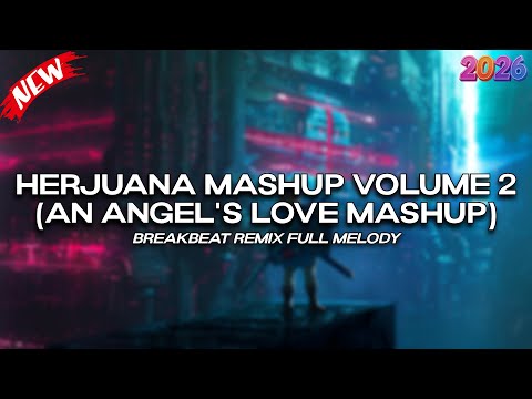 Zylong Mix Vol 2