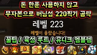 [메이플스토리 맑음] 하이퍼 버닝 돈 한푼 사용하지 않고 무자본으로 버닝서버 220레벨 찍기 완벽 공략! 꿀팁 / 육성루트 / 노하우 / 유니크엠블렘 / 버닝 스텝업 미션 공략