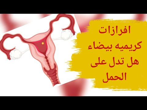 فيديو: هل يمكن أن تكون الإفرازات البيضاء الكريمية علامة على الحمل؟