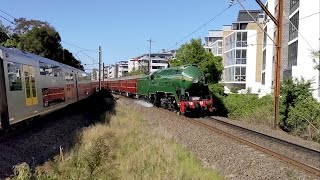 Steam Locomotive 3801 Newcastle Flyer passes through Mount Colah
3801 runs the Newcastle Flyer while almost gets obstructed by a Waratah
#3801 Steam Locomotive 3801 Newcastle Flyer passes through Mount Colah