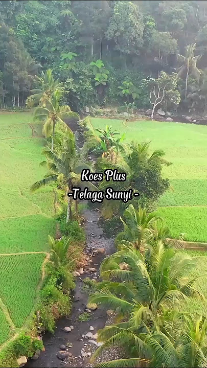 Koes Plus - Telaga Sunyi #nostalgia #jadul #kenangan #koesplus #fyp #lagu