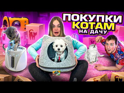 Видео: 100 ДАЧНЫХ ТОВАРОВ ДЛЯ ЖИВОТНЫХ! ОГРОМНАЯ РАСПАКОВКА ДЛЯ КОТОВ НА ДАЧУ + конкурс